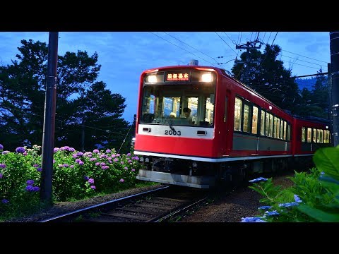 箱根登山電車 あじさい電車2 2017年6月29日