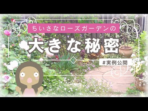 【ちいさなお庭実例】バラと宿根草を楽しむ庭の秘密