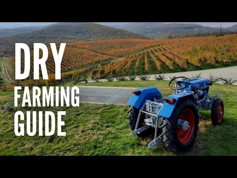 Dry Farming 101: Everything You Need to Know