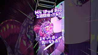 M4 iPad pro2🍎週間使ったプロ絵師レビュー✨【ディープブリザード】#ipadpro #illustration #review #レビュー動画