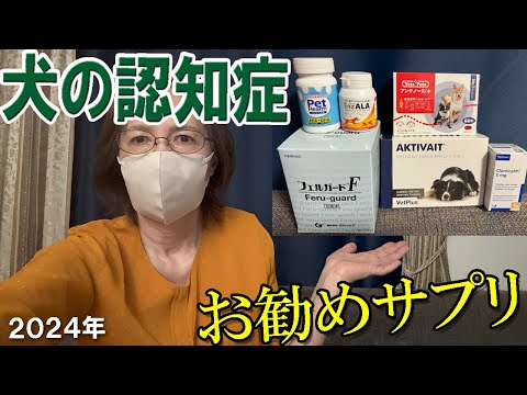 【犬の認知症】おすすめサプリや補助療法薬をご紹介💖私が飼っていた柴犬が認知症になり、2年半介護をした経験をお話ししてます。ペットの夜泣きや徘徊で苦労しました😭少しでも参考になりましたらうれしいです😍