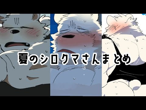 【🐻‍❄️🍉🍨】夏のシロクマさんまとめ