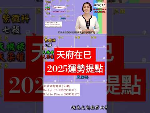 #天府在巳 #2025運勢提點【2025乙巳年天運啟示錄暨流年命宮在巳12組命盤】 #2025流年運勢 #2025流年四化 #2025 #2025紫微流年運勢 #chinese astrology