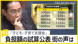 年収600万円で月1000円 「子ども・子育て支援金」年収別の負担額の試算公表 街の声は？ 事業者も“負担増”への懸念も【news23】｜TBS NEWS DIG