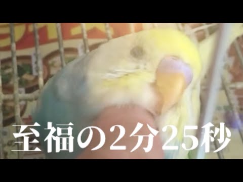 至福の2分25秒