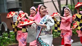 東北絆まつり仙台 山形花笠まつり