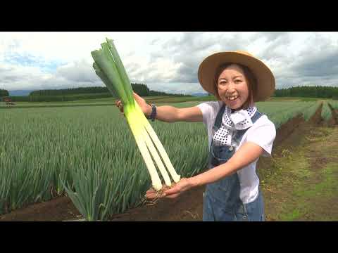 「Fresh Vegetable」旬の青森県産ねぎを紹介♪