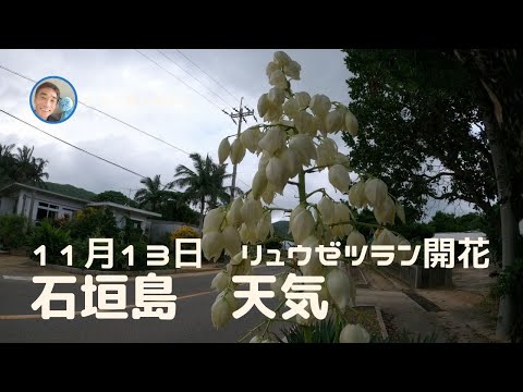 【石垣島天気】11月13日16時ごろ。15秒でわかる今日の石垣島の様子。