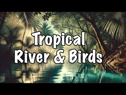 Tinnitus Relief: Rainforest River & Birds Songs