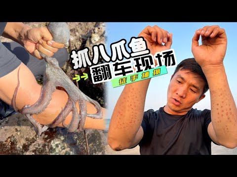 "Oman " Episode 8: Catching a big octopus with bare hands only to be bitten countless times