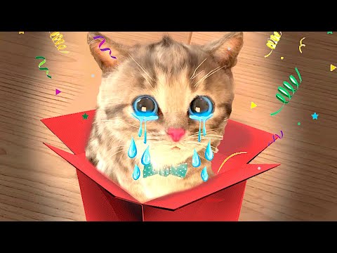 Animation Little Kitten Preschool - Amazing Adventure Cute Cat Best Learning Video for Kids Toddlers