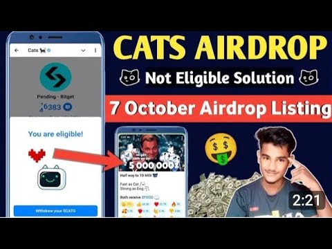 How to connect cats wallet with bitget