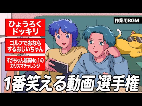 視聴者にYouTubeで1番笑える動画を教えてもらいました【作業用BGM】【ゲストかなめ】