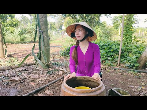 Farming & gardening life: Organic village life, farming fruits and vegetables