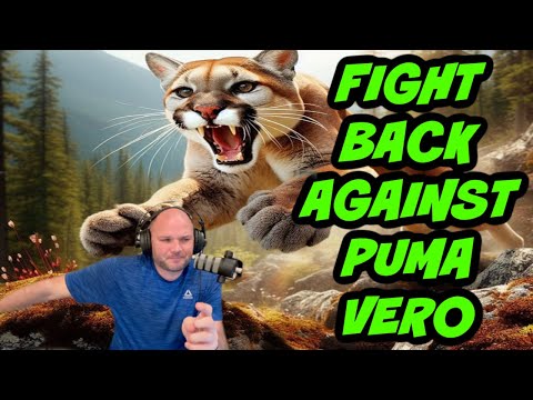 How to FIGHT BACK AGAINST Ebay Vero Strikes vs PUMA