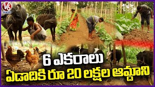 New Farming Techniques | Organic Vegetable Farming In Thimmaipally | Siddipet District | V6 News