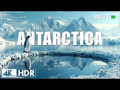 Antarctica 4K - Exploring the Pristine Beauty of the Icy Continent