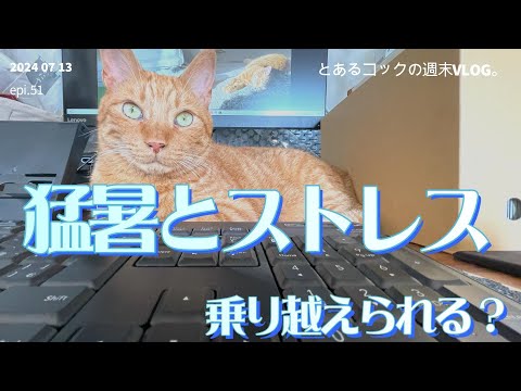 40代おひとりさま　猛暑とストレス、乗り越えられる？　epi.51　｜猛暑｜ストレスフル｜多摩