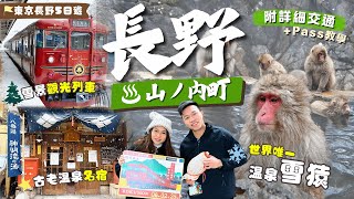 Stunning winter Spot in Nagano❄️Snow Money Park🐒 & sightseeing train🚃! Famous Shibu Onsen Hotels !♨️