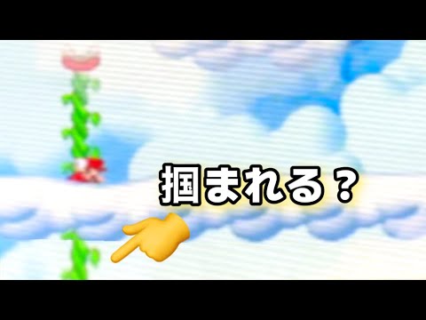 【Newマリオ】ツタの雲の下に伸びてる部分は掴まれるの？