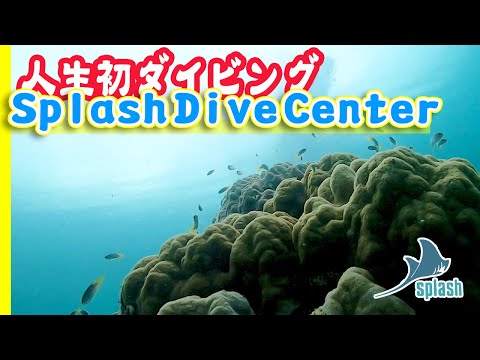 #2 Splash Diving Center @ Palau