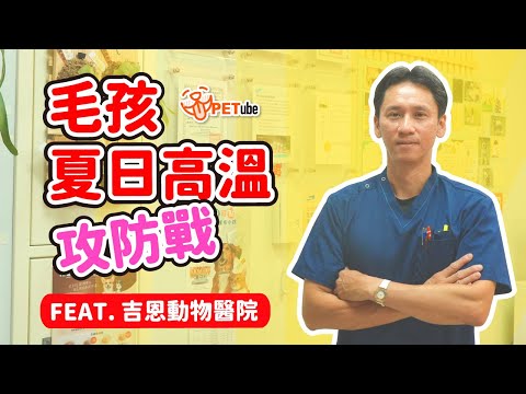 毛孩夏日高溫攻防戰Feat.吉恩動物醫院【哈寵小學堂】｜ #哈寵PETube 第244集