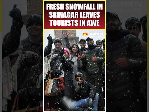 Fresh Snowfall in Srinagar Leaves Tourists in Awe of the Winter Wonderland | #shorts