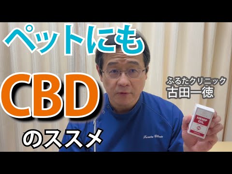 ペットの体調維持向上にCBDのススメ〜古田一徳・ふるたクリニック