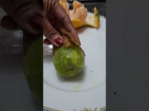 Kiwifruit hack #howto #1million #shortvideo