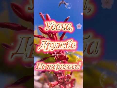 С Добрым Утром!