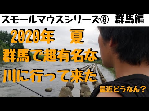 【川スモールマウスバス釣り　シリーズ⑧　群馬編】2020年あの超有名河川の最近の様子はどうなんだい？　smallmouth bass