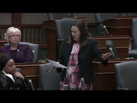 MPP Fife speaks in favour of NDP Motion to create new Ontario Autism Program