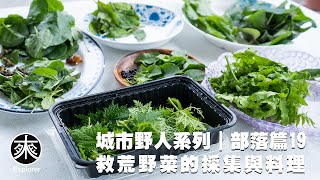 台灣野菜採集與料理，車前草、土肉桂、皺葉酸模、腎蕨、過溝菜蕨、火炭母、咬人貓、唐棉、薏苡、羅氏鹽膚木、桃葉斑鳩菊、川七、落葵、假酸漿、佛手瓜、山藥，探路者城市野人｜救荒野菜採集-部落篇第19集