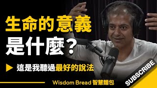 生命的意義是什麼？► 這是我聽過最好的說法 - Naval Ravikant 納瓦爾·拉維坎特（中英字幕）