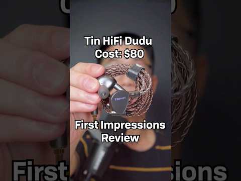 The best IEM name ever - Tin HiFi Dudu First Impression Review #inearmonitors #headphones