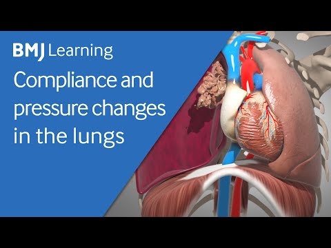 Basics of ventilation: Compliance and pressure changes in the lungs