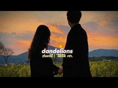 dandelions 🌼 - ruth b 🎧 (slowed+reverb) ☁️