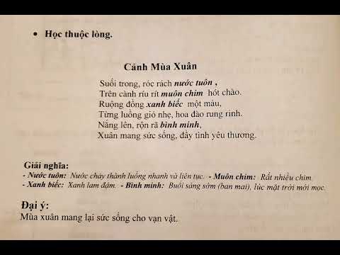 BIN&BIN | Cảnh mùa xuân