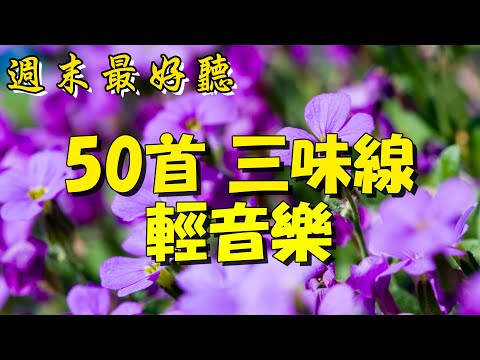 【薩克斯風 睡眠】🎷30首 薩克斯風 輕音樂 放鬆解壓 🌺 夜晚最適合聽的 轻音乐 放松🎵 累了煩了就聽聽 醉人醉心！ 無廣告音樂  Relaxing Chinese Saxaphone Music