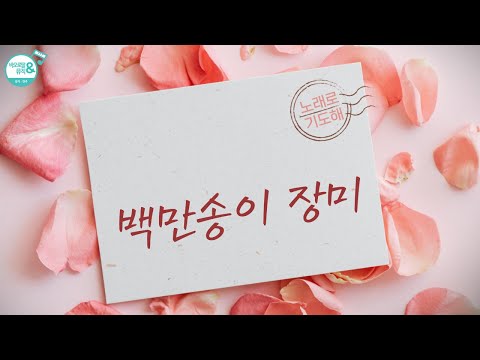 [시즌2] 노래로 기도해  |  백만송이 장미 (성가 불러주는 신부)  |  "이 노래는 예수님의 사랑을 노래한 것입니다."(가수 심수봉)