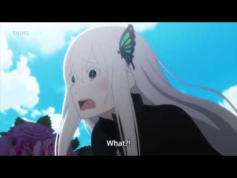 When You Feel Ignored - Echidna Cute Expression | かわいい瞬間