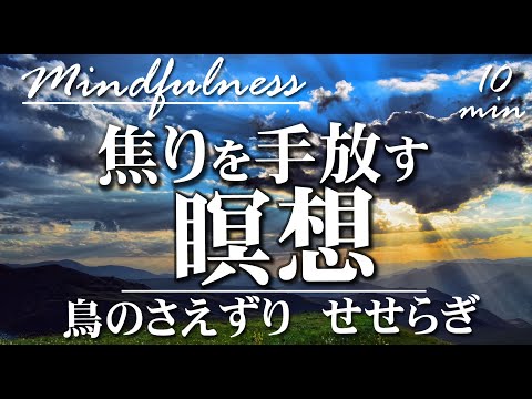 焦りを手放す瞑想【誘導瞑想10分】森のせせらぎ＆鳥のさえずり|マインドフルネス誘導瞑想