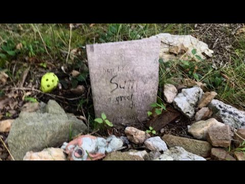 Exploring a Forgotten Dog Grave