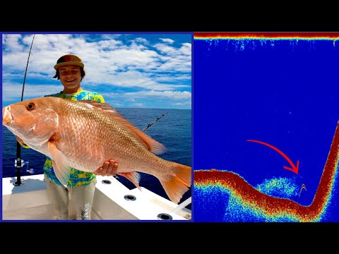 HOW WE CATCH A LIMIT EVERYDAY | FINDING SECRETE SPOTS 100 MILES OFFSHORE