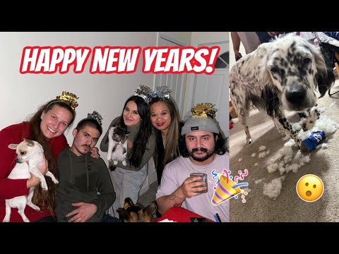 New Years Vlog | Full of kittens, dogs, presents & more