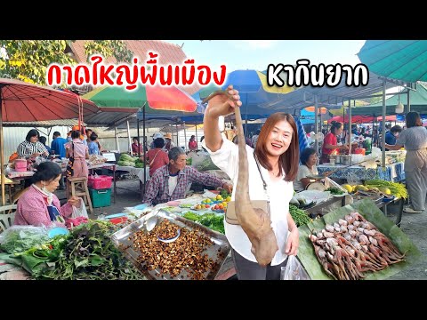 ของป่าของกินโบราณหากินยาก กาดหน้าวัดแม่โป่งทุกวันอาทิตย์