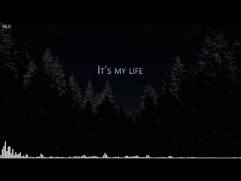 NEFFEX - It's My Life [Lyrics]