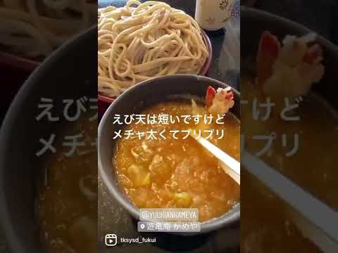 【福井グルメ】遊亀庵かめやさん（越前市）で、天おろしそば（そば大盛りver.）食べてきました【食レポ動画】#shorts