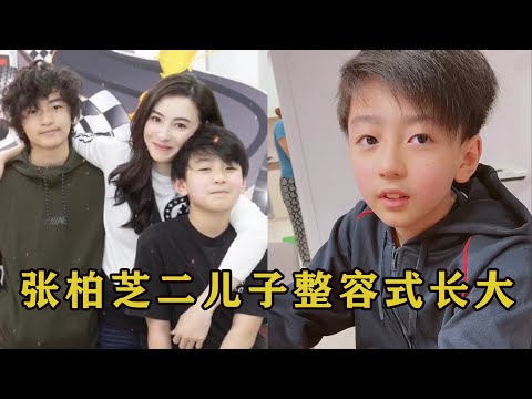 张柏芝二儿子整容式长大，五官像极谢霆锋，怪不得谢贤最宠他！