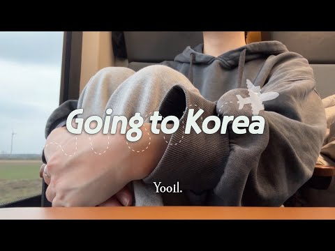 (sub) Going back to Korea to Fix My Laptop | Korea Vlog